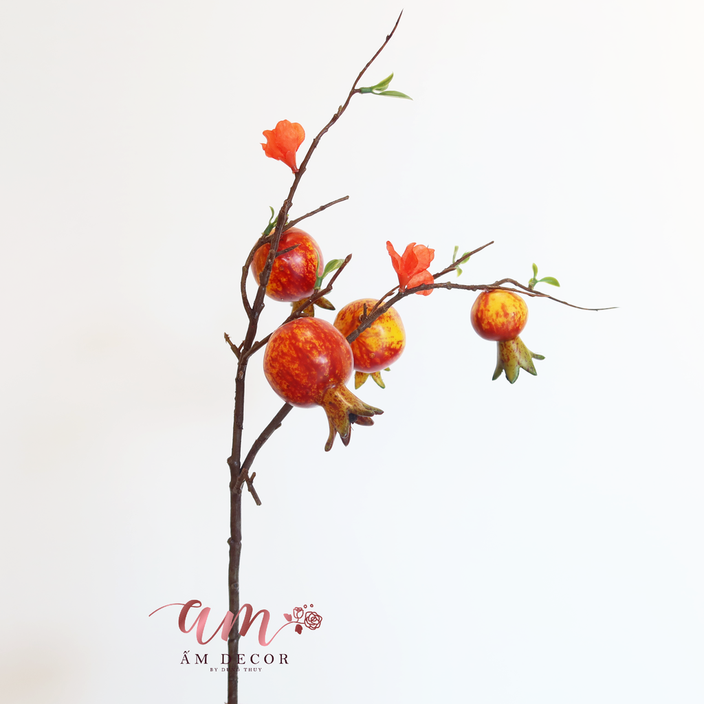 CÀNH QUẢ LỰU CÓ HOA