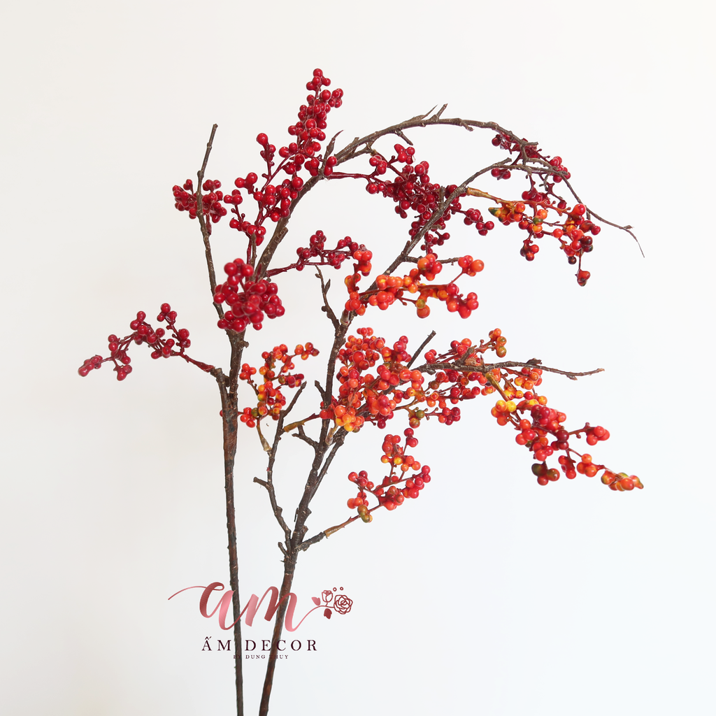 CÀNH QUẢ BÁCH TÙNG