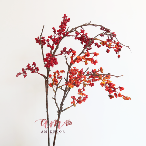  CÀNH QUẢ BÁCH TÙNG 