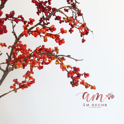  CÀNH QUẢ BÁCH TÙNG 