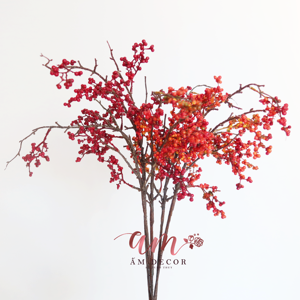 CÀNH QUẢ BÁCH TÙNG