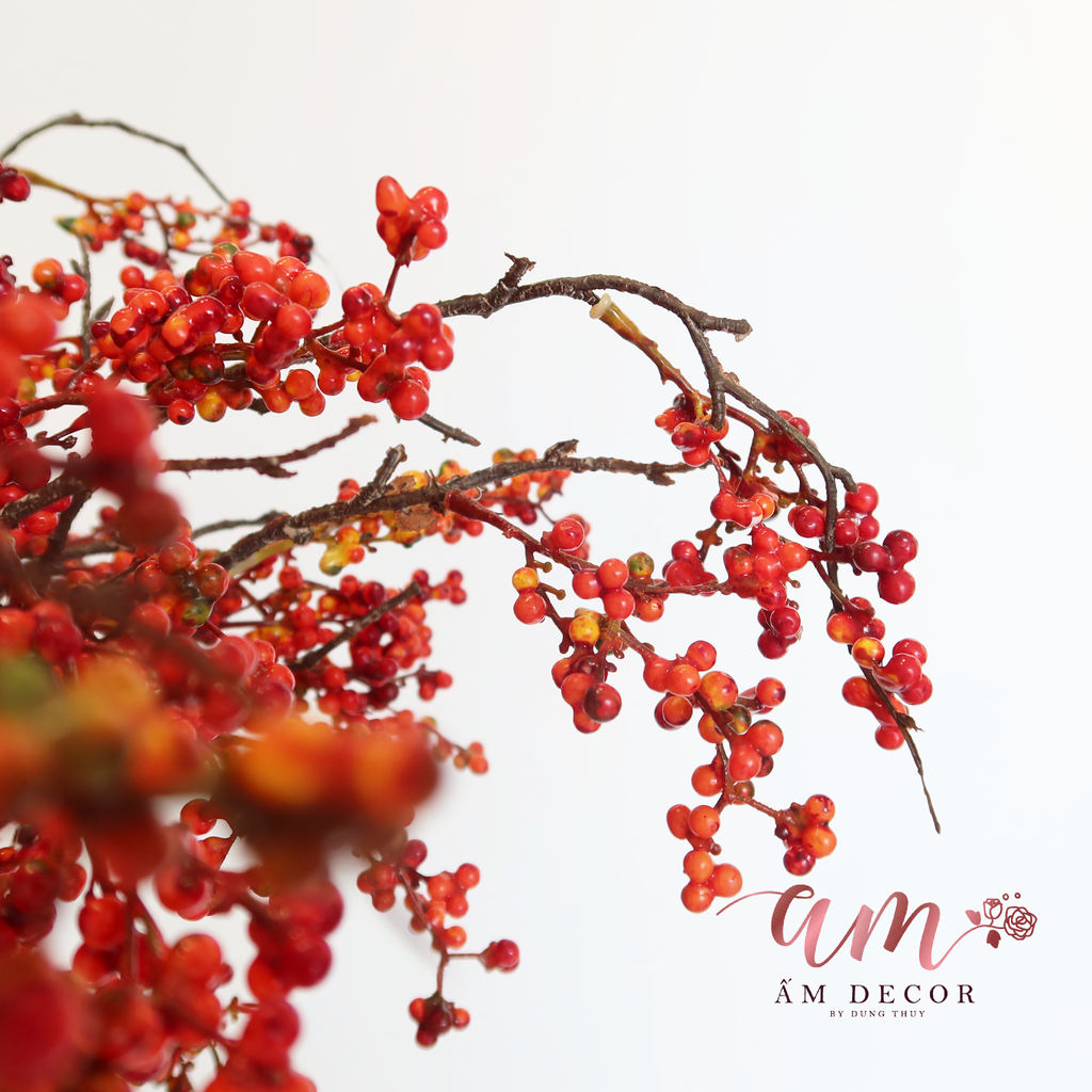 CÀNH QUẢ BÁCH TÙNG