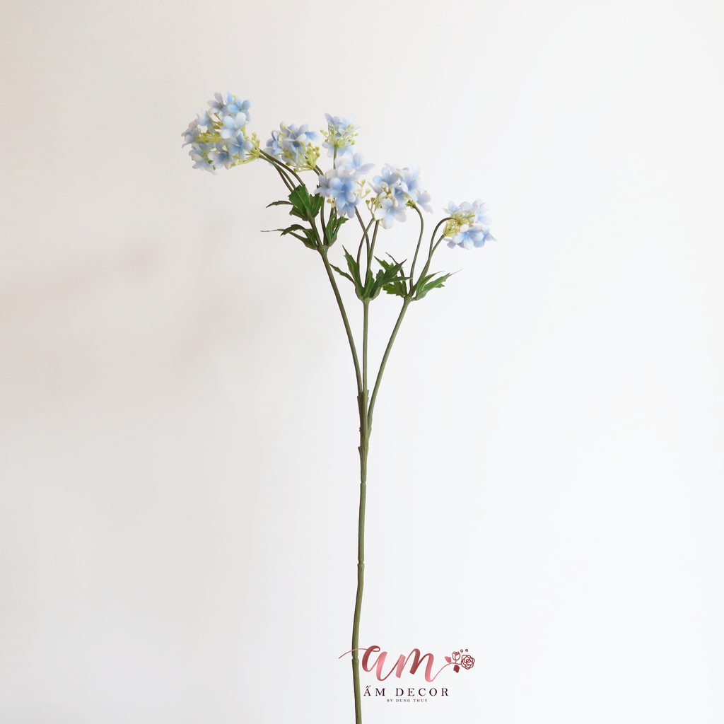 ZTHẠCH THẢO XANH DƯƠNG