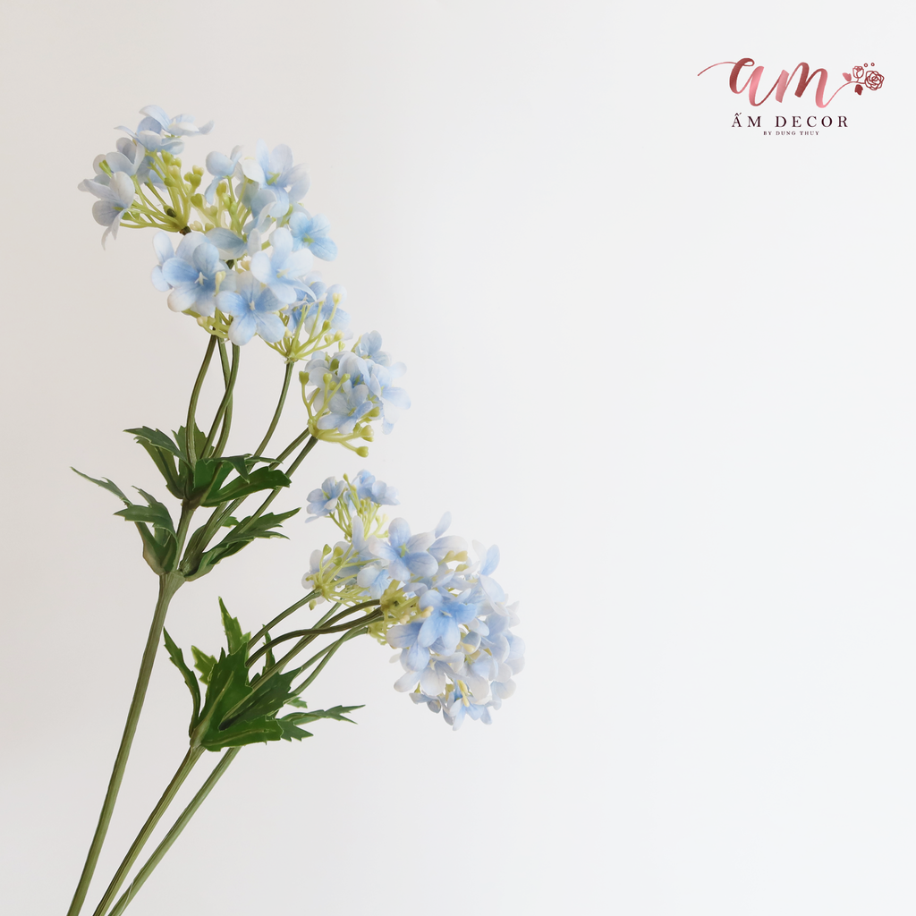 ZTHẠCH THẢO XANH DƯƠNG