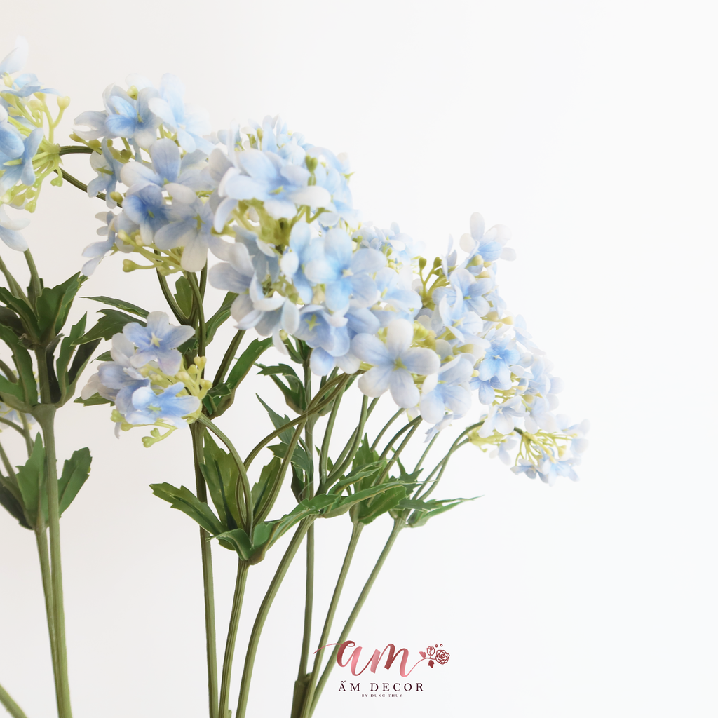 ZTHẠCH THẢO XANH DƯƠNG