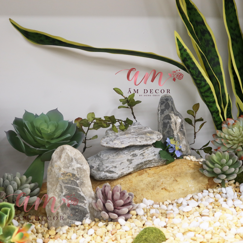 TIỂU CẢNH GREEN CACTUS