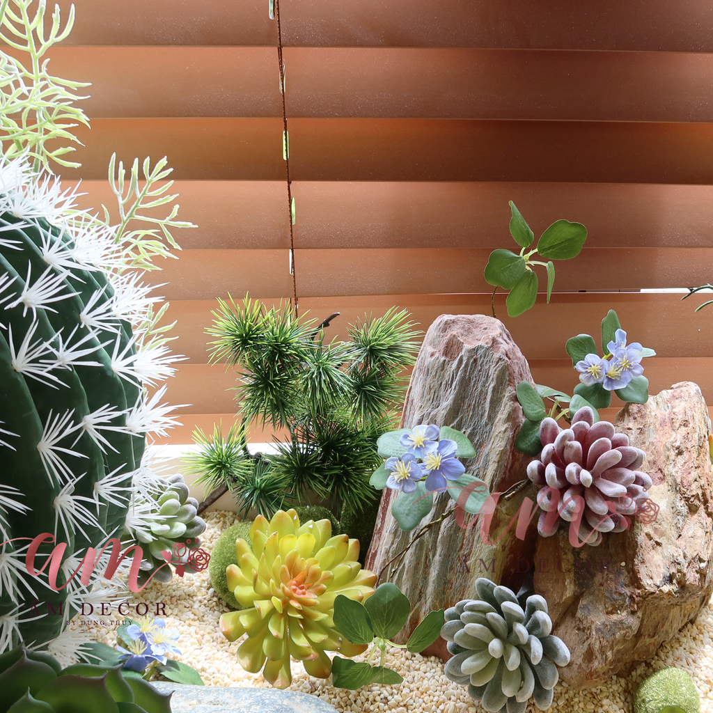 TIỂU CẢNH CACTUS PYSTACHIO