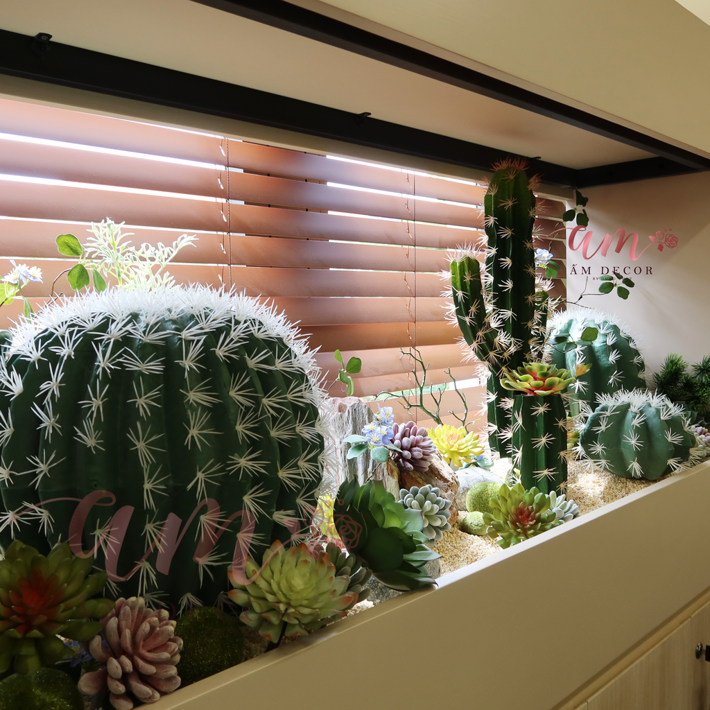 TIỂU CẢNH CACTUS PYSTACHIO