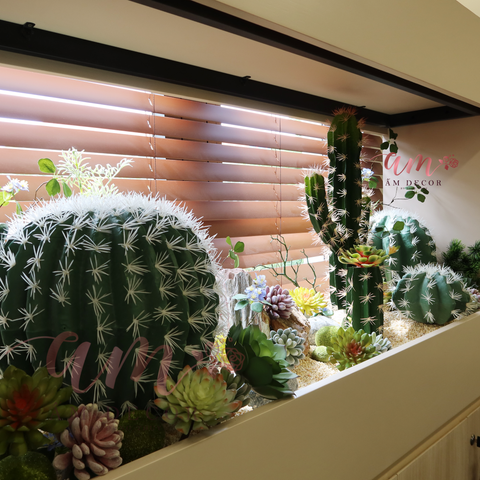  TIỂU CẢNH CACTUS PYSTACHIO 