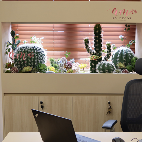  TIỂU CẢNH CACTUS PYSTACHIO 