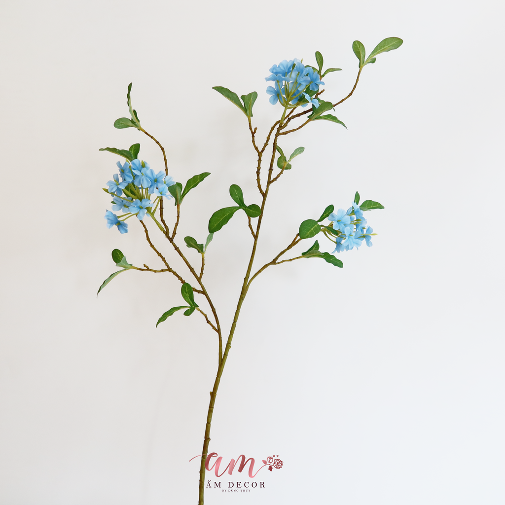 HOA SƯƠNG (Xanh Dương)