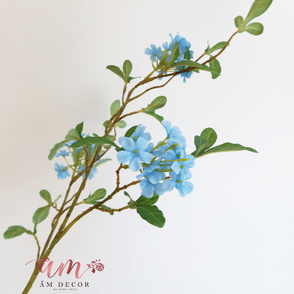 HOA SƯƠNG (Xanh Dương)