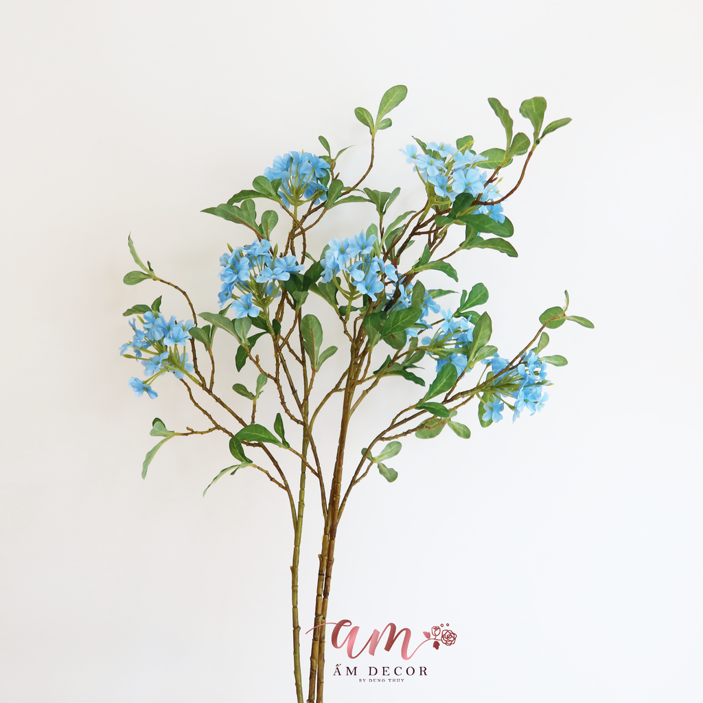 HOA SƯƠNG (Xanh Dương)