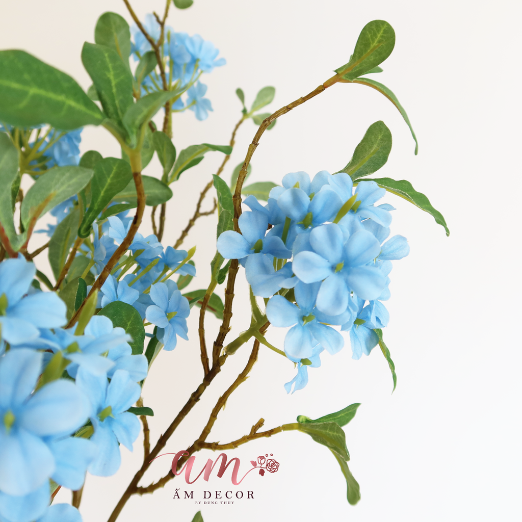 HOA SƯƠNG (Xanh Dương)