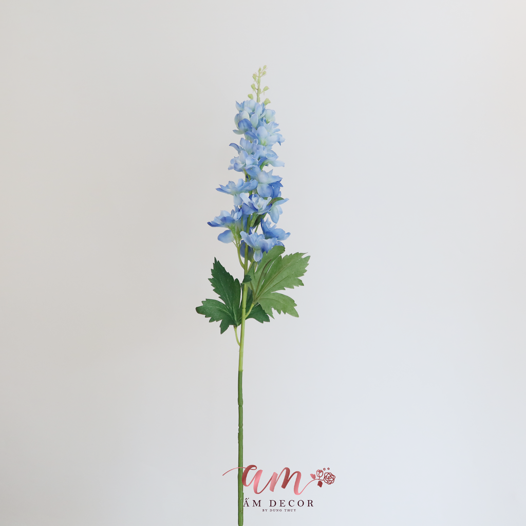 PHI YẾN XANH DƯƠNG