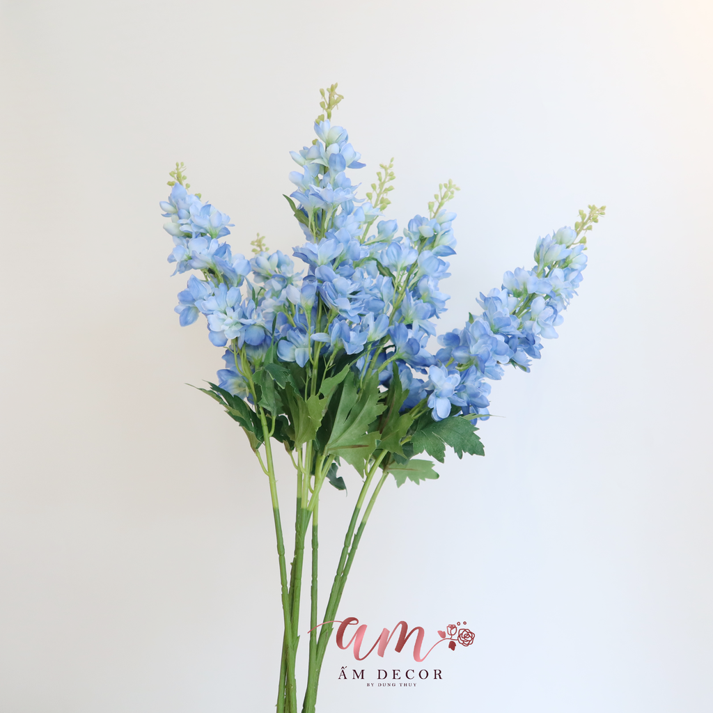 PHI YẾN XANH DƯƠNG