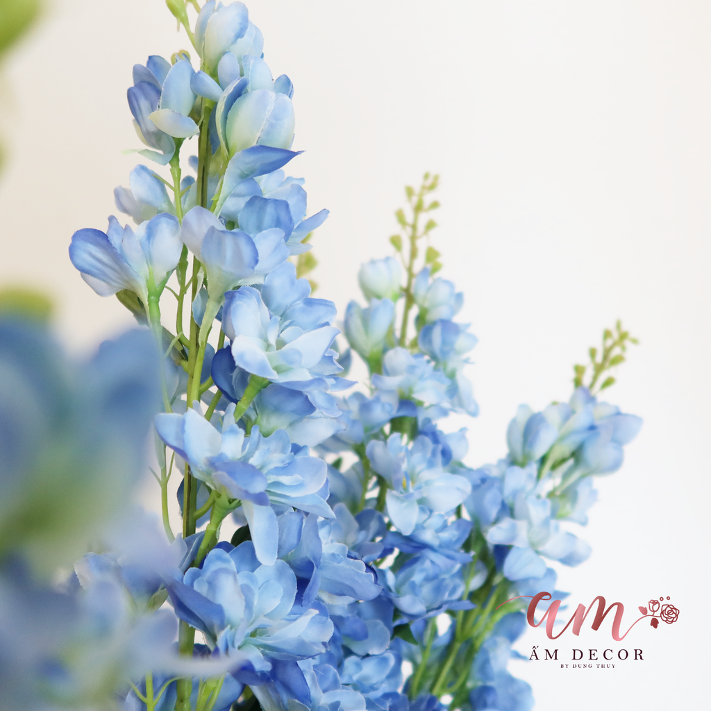 PHI YẾN XANH DƯƠNG