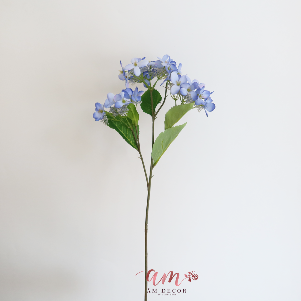 CÀNH THẠCH THẢO CHÙM