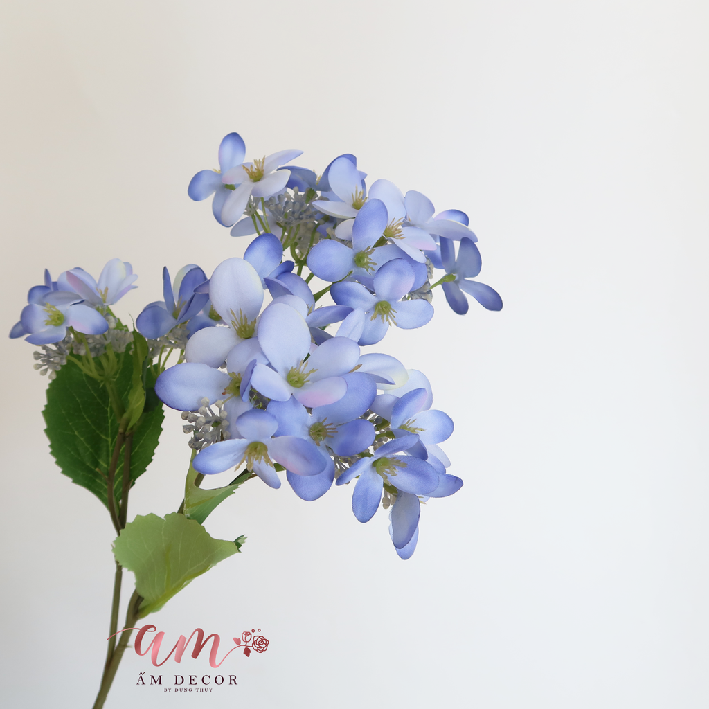 CÀNH THẠCH THẢO CHÙM