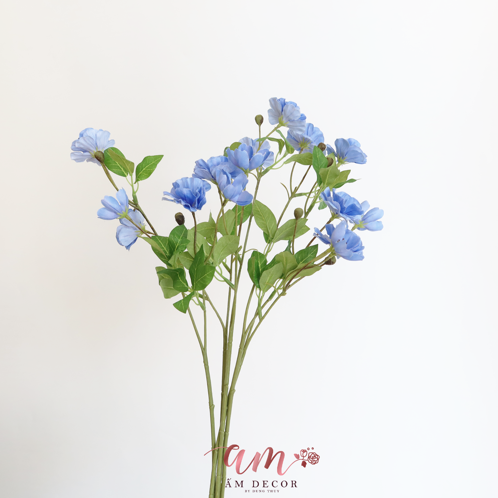 HOA CÁNH BƯỚM SƯƠNG ( XANH DƯƠNG )