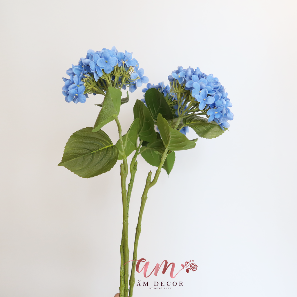 CẨM TÚ CẦU PHÁP ( XANH DƯƠNG )