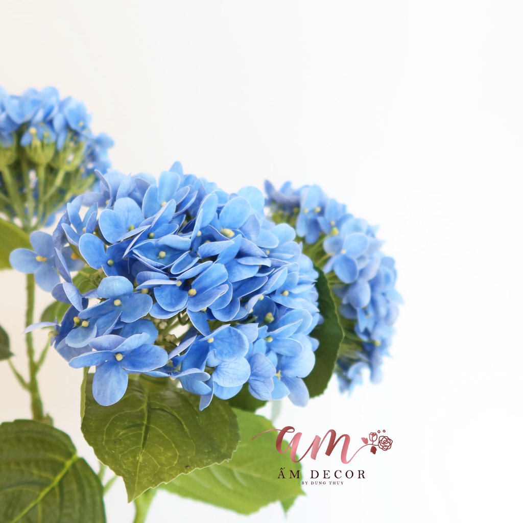 CẨM TÚ CẦU PHÁP ( XANH DƯƠNG )