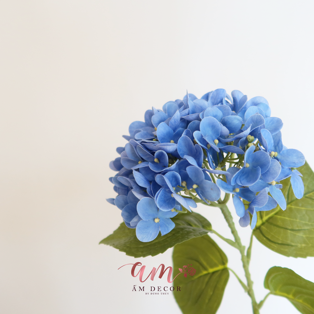 CẨM TÚ CẦU PHÁP ( XANH DƯƠNG )