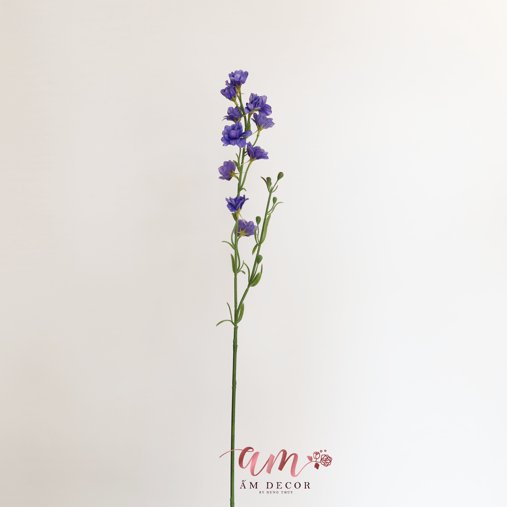 VIOLET ( TÍM )