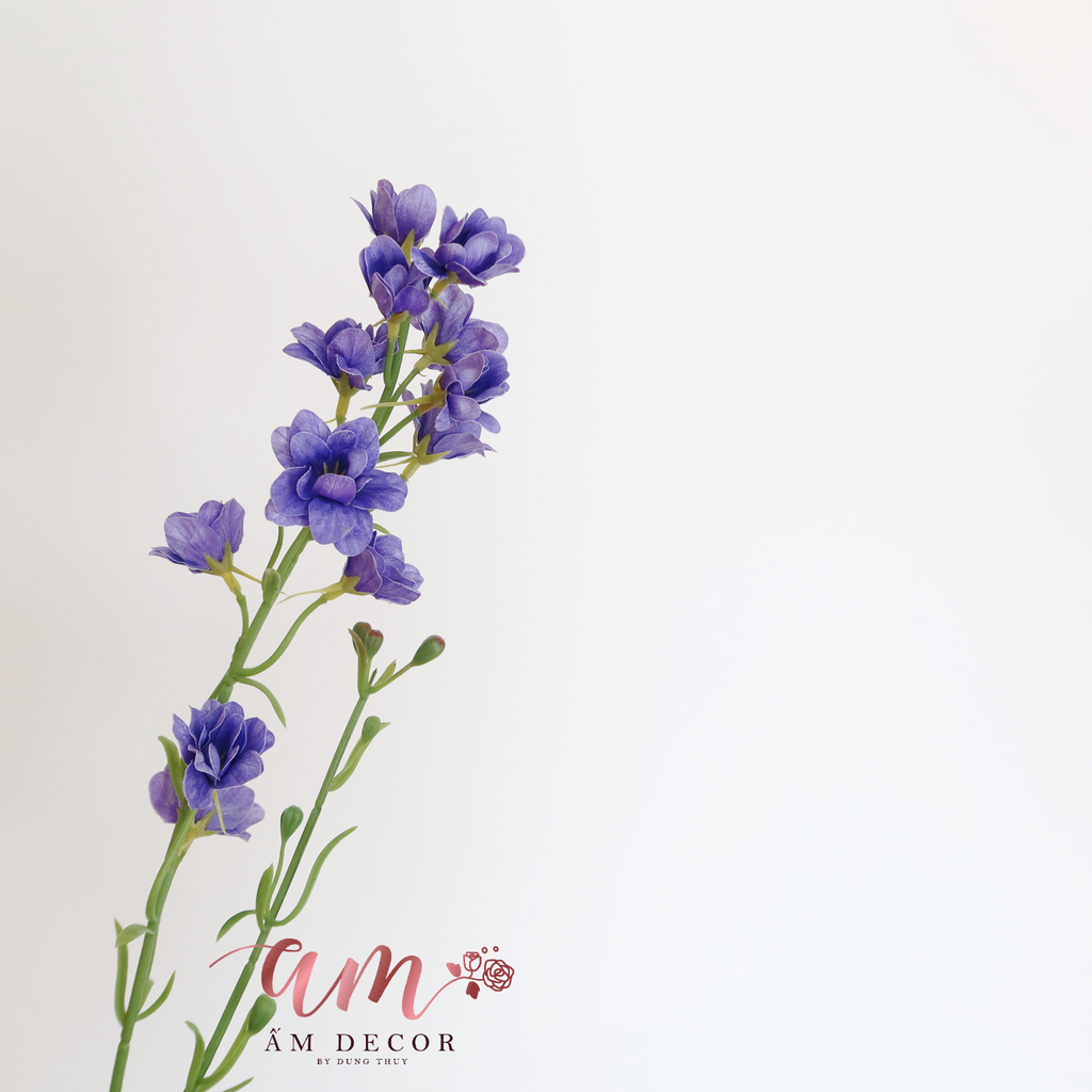 VIOLET ( TÍM )