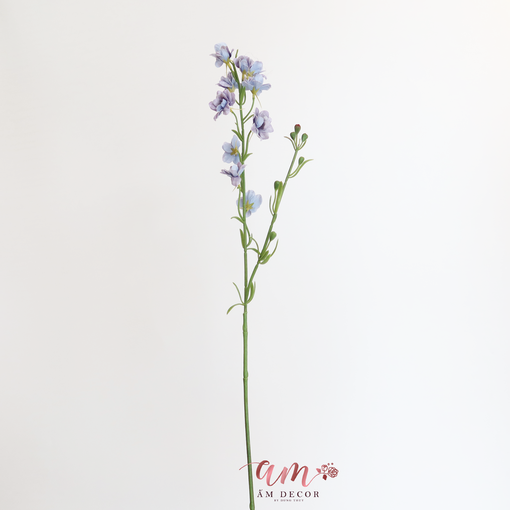 VIOLET ( TÍM XÁM )