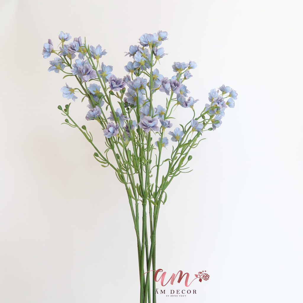 VIOLET ( TÍM XÁM )