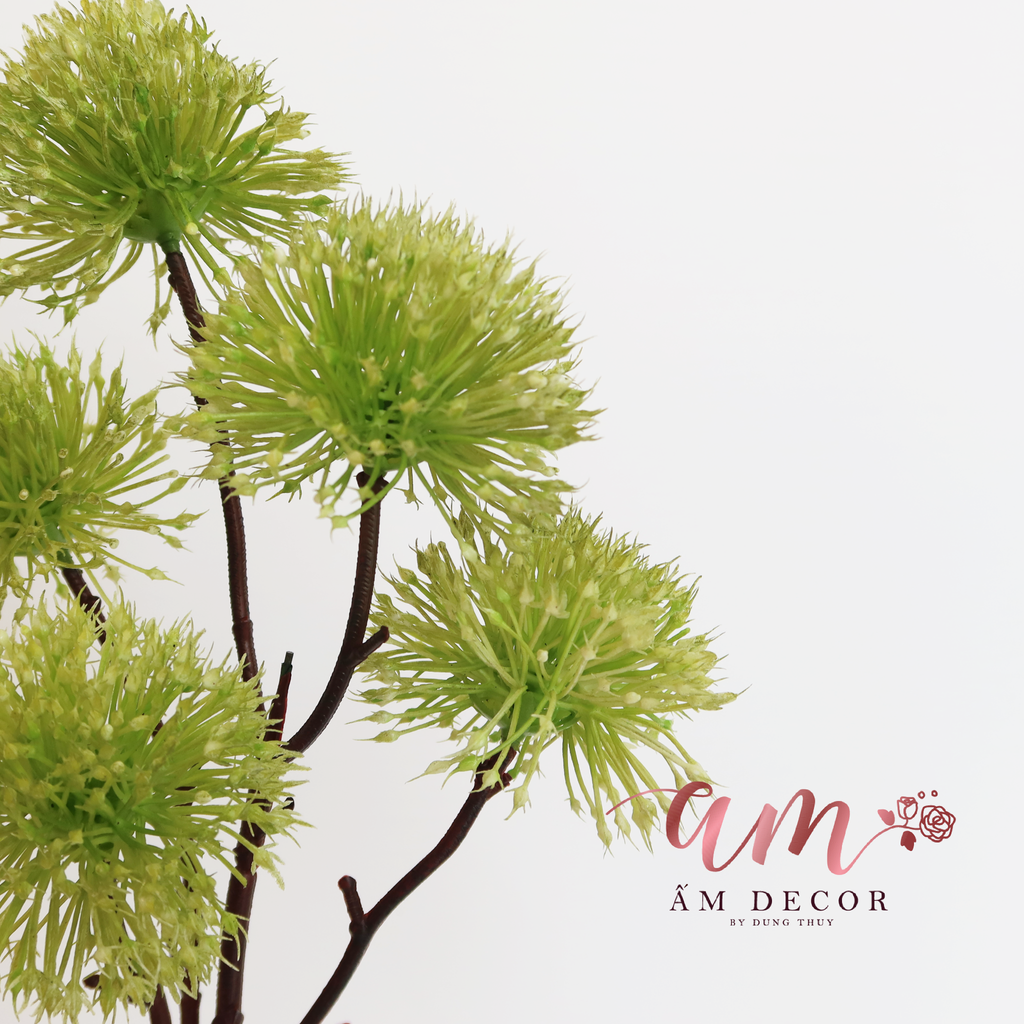 ZCÀNH MÂM XÔI (Xanh Lá)