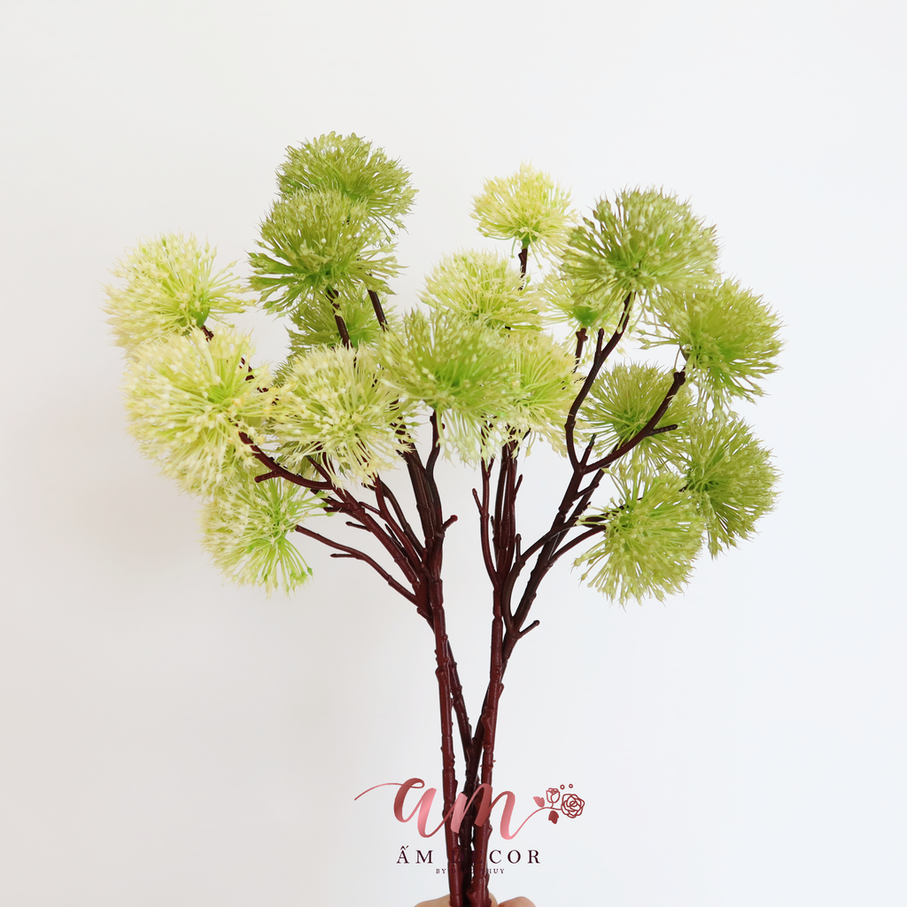 ZCÀNH MÂM XÔI (Xanh Lá)