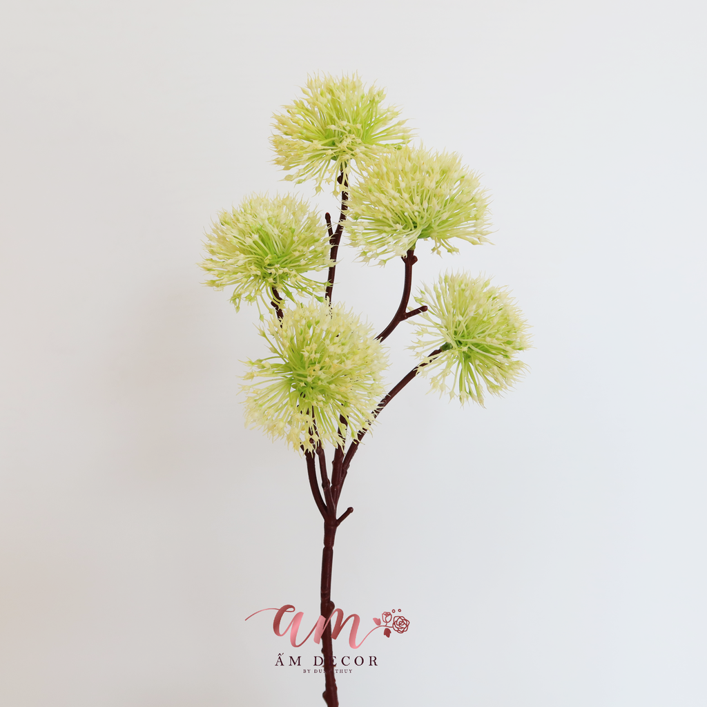 ZCÀNH MÂM XÔI (Xanh Cốm)