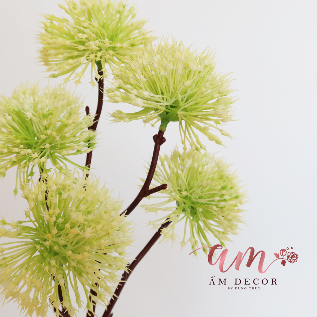 ZCÀNH MÂM XÔI (Xanh Cốm)