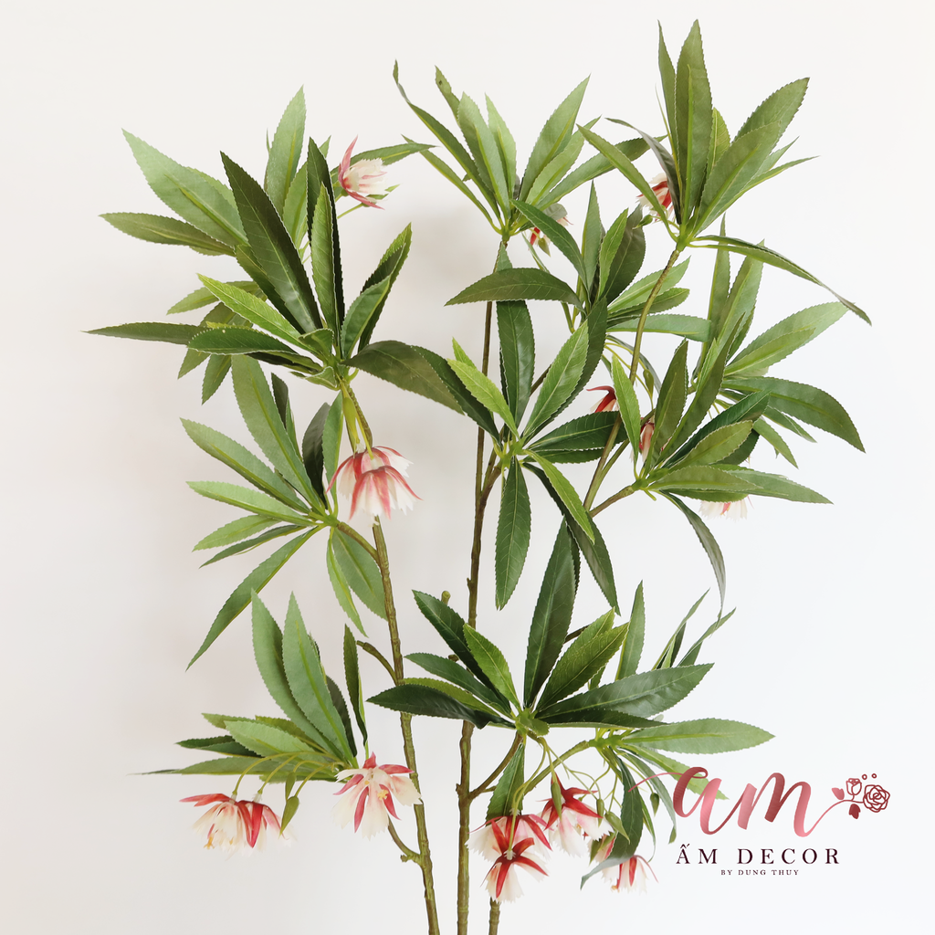 CÀNH HOA MUỐNG RŨ XÒE (Hồng)