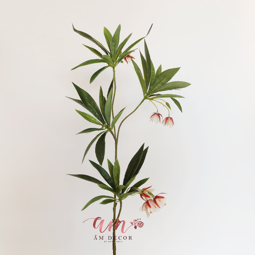 CÀNH HOA MUỐNG RŨ XÒE (Hồng)