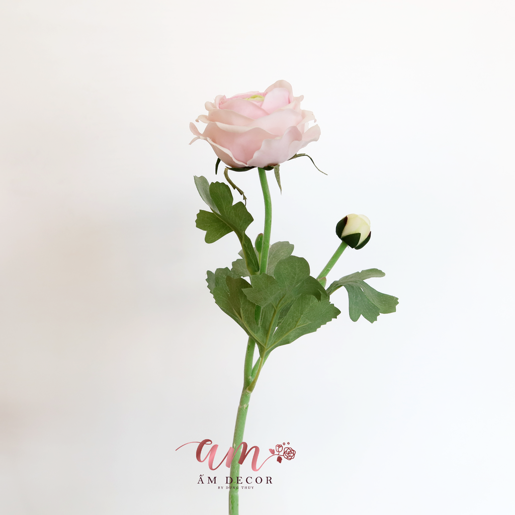 MAO LƯƠNG CÁNH MỀM XỊN (Hồng)