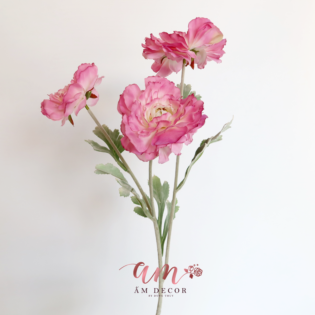 CÀNH ANH TÚC ĐẠI 3B