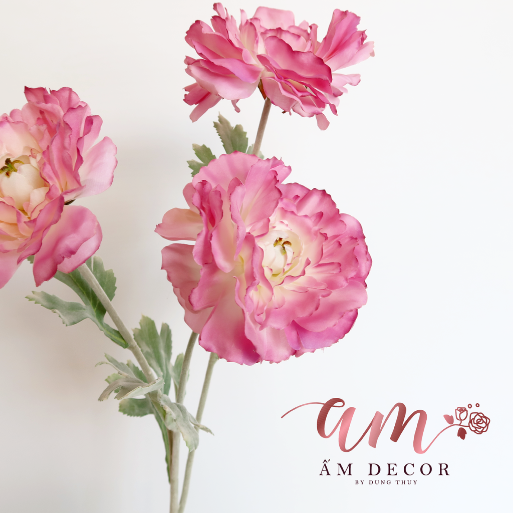 CÀNH ANH TÚC ĐẠI 3B