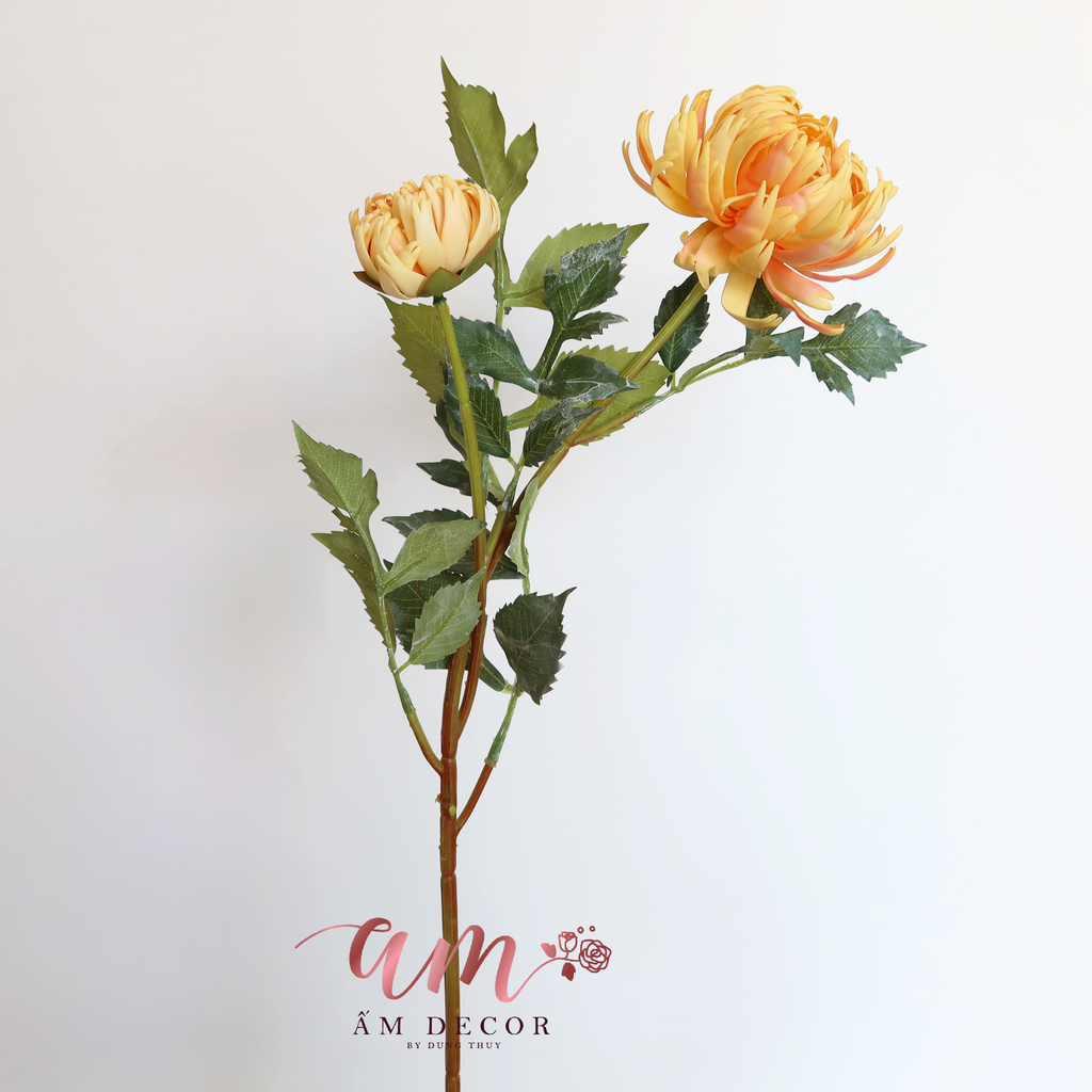 CÚC ĐẠI ĐÓA (Vàng)