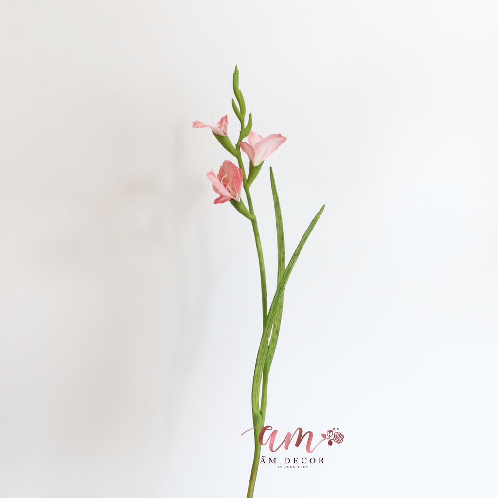 ZHOA LAY ƠN ( HỒNG )