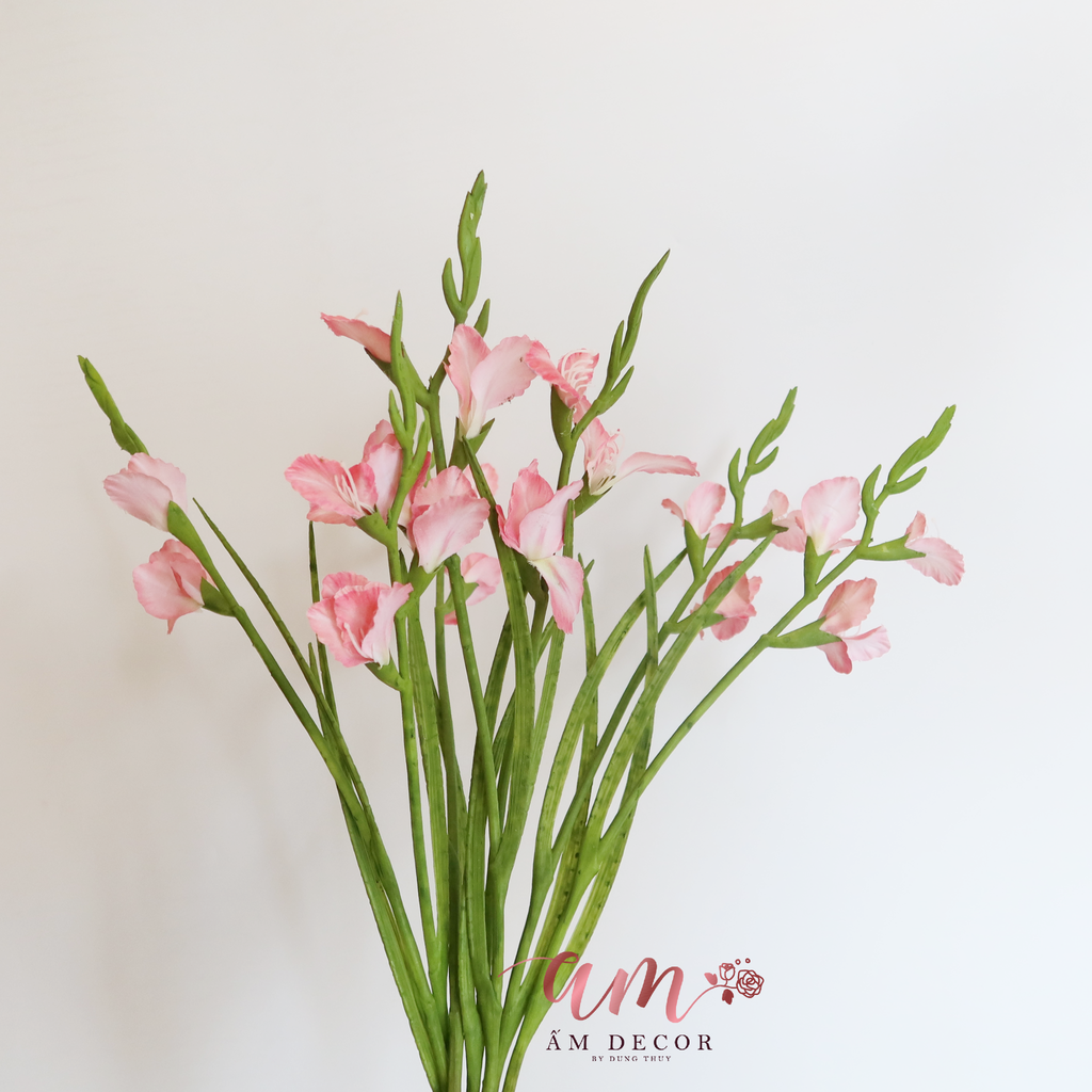 ZHOA LAY ƠN ( HỒNG )