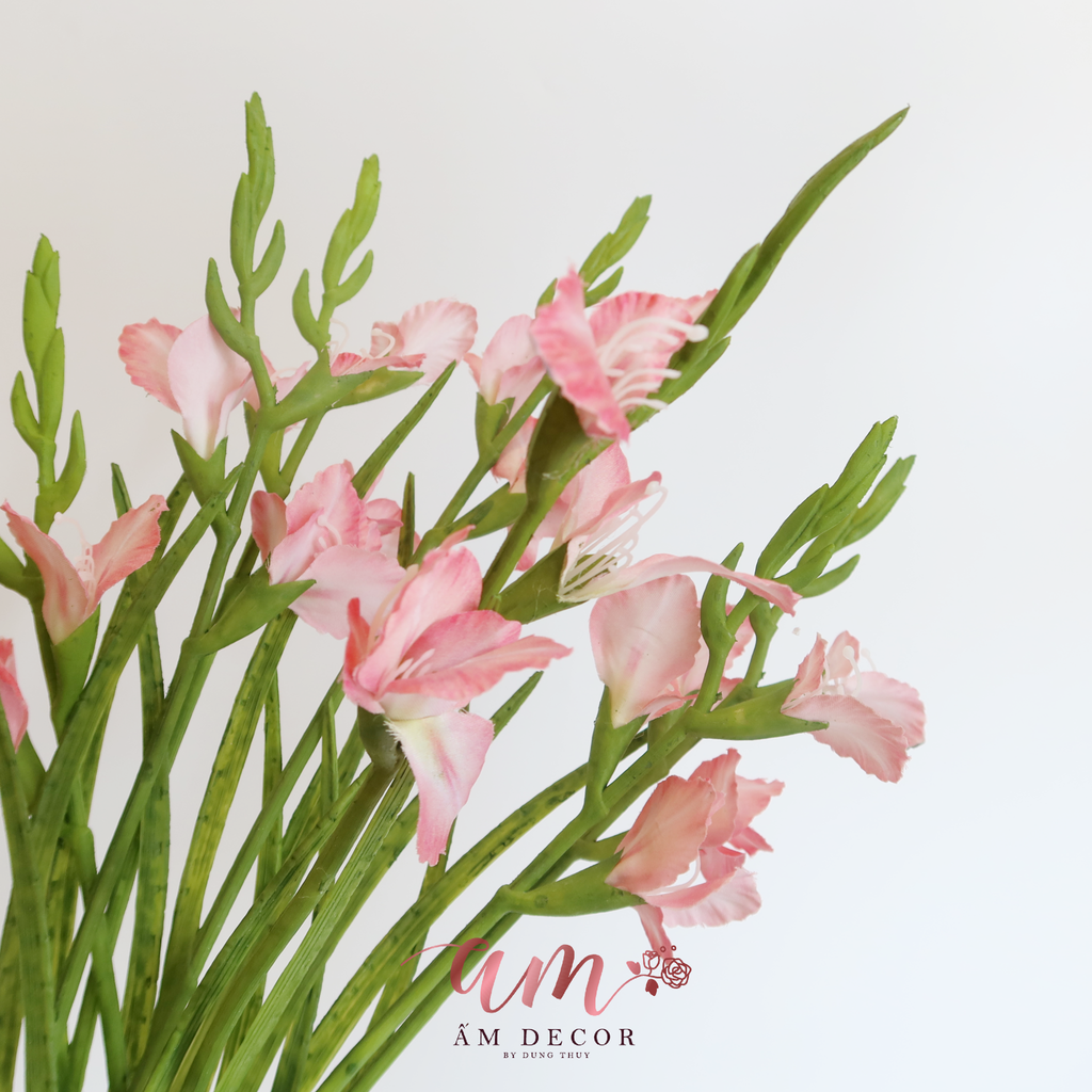 ZHOA LAY ƠN ( HỒNG )