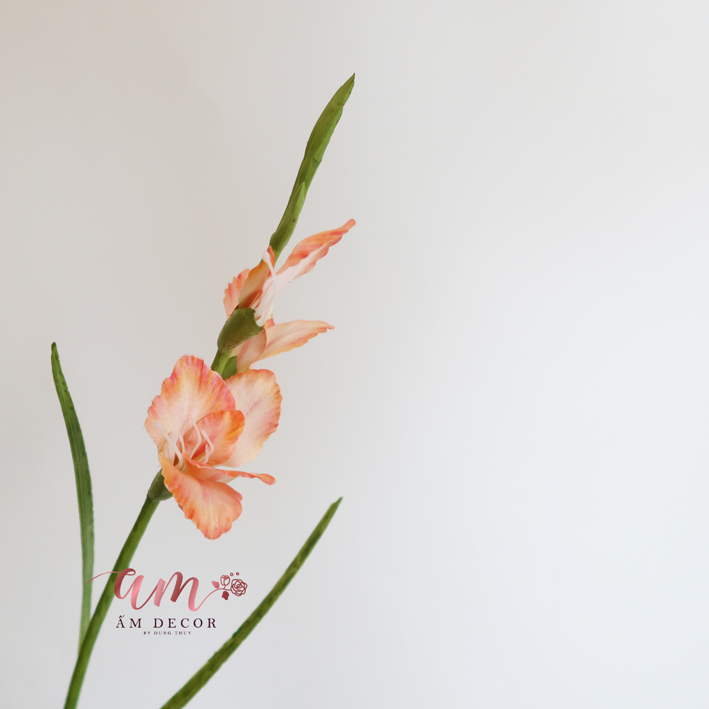 HOA LAY ƠN ( CAM )