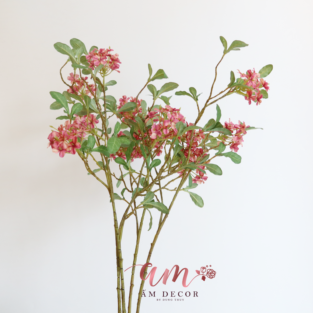 HOA SƯƠNG (Đỏ Hồng)