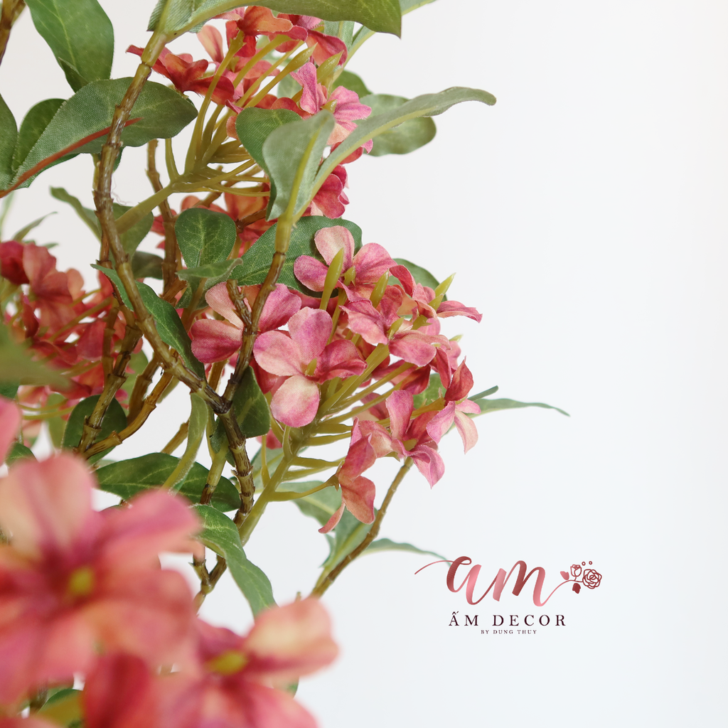 HOA SƯƠNG (Đỏ Hồng)