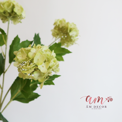  CẨM TÚ CẦU NHÍ 3D 2025 (XANH BƠ) 