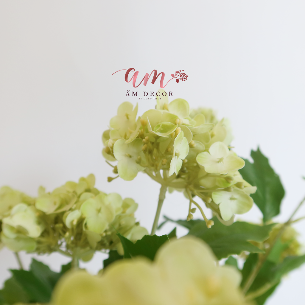 ZCẨM TÚ CẦU NHÍ 3D 2025 (XANH BƠ)