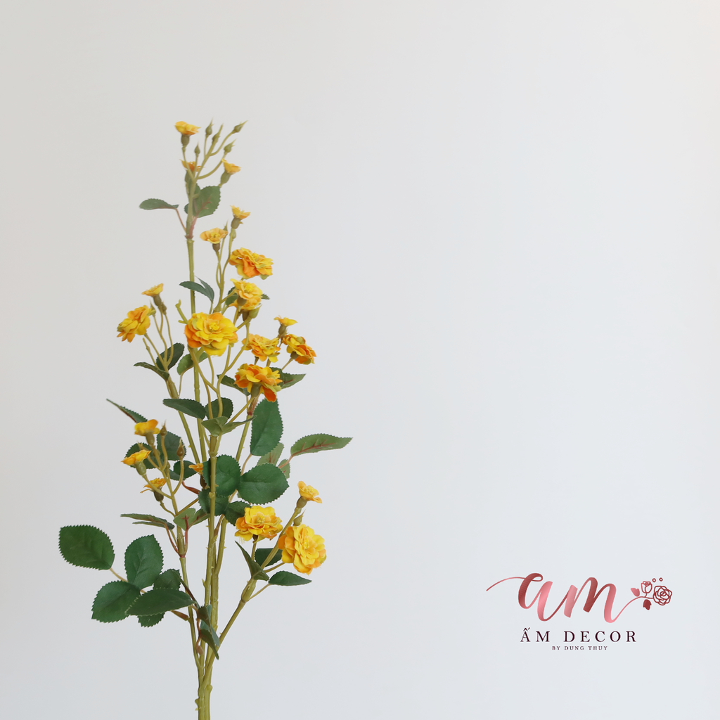 NHÀI LEO CÀNH DÀI (Vàng)